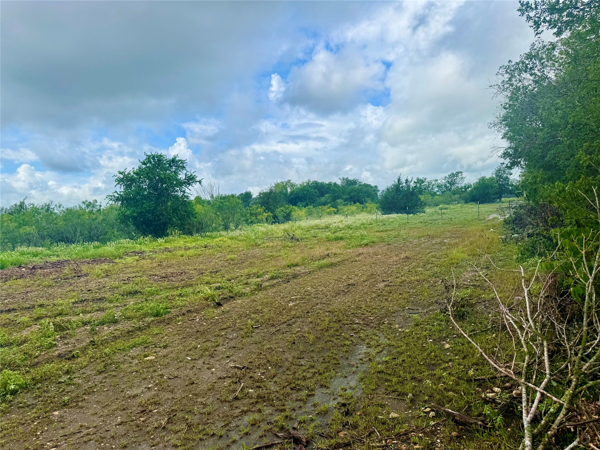 0 Engelke Road Kyle, TX 78640 - Photo 6 of 16 A spacious, verdant lot awaits your vision, bordered by natural growth and under a bright sky.