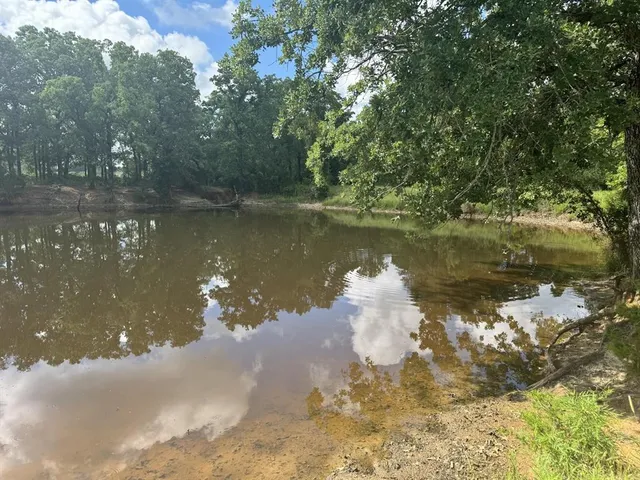 a view of a lake with a tree