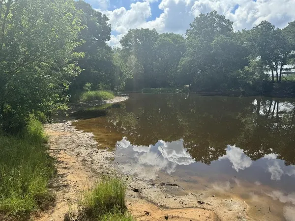 a view of a lake from a yard