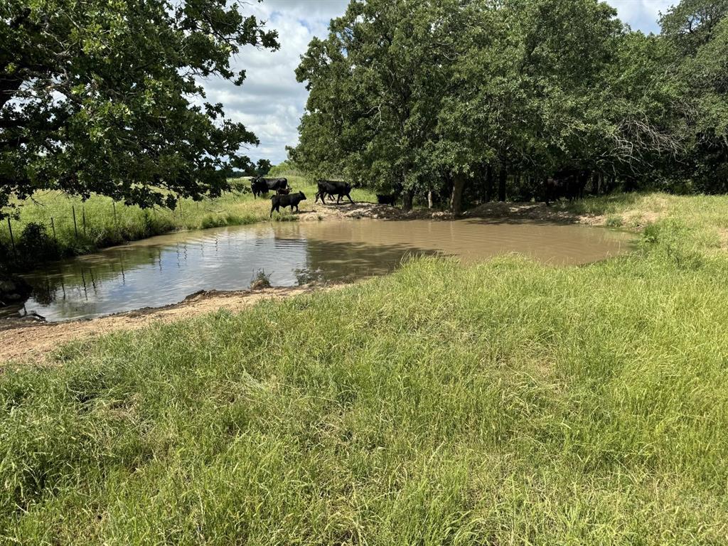 0 Allen Road Montague, TX 76251 - Photo 24 of 24 a view of lake with green space