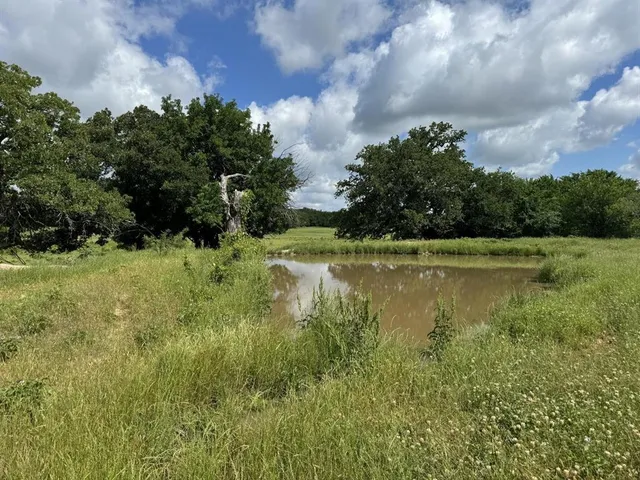 a view of a lake from a yard