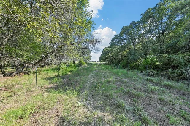 a view of a green yard with large trees