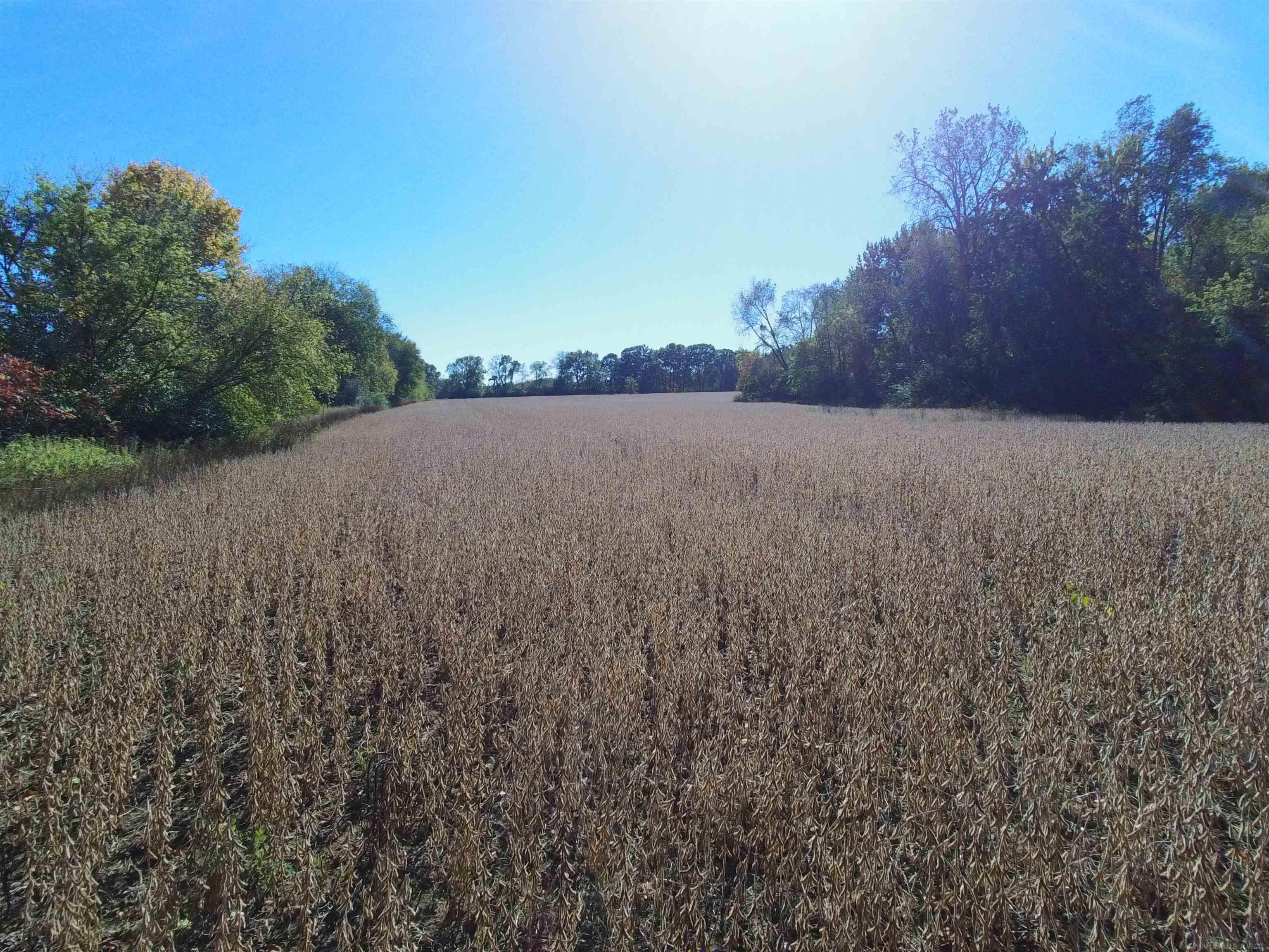73213 Coon Creek Road Armada, MI 48005 - Photo 2 of 11