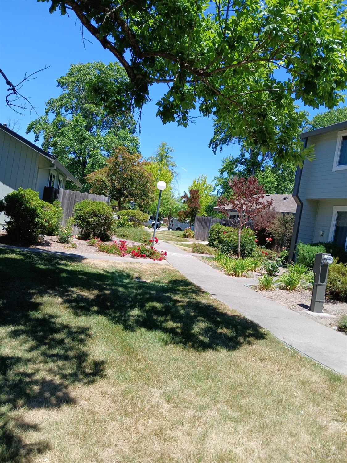 381 Wall Place Santa Rosa, CA 95401 - Photo 4 of 18 a view of a lake with a house