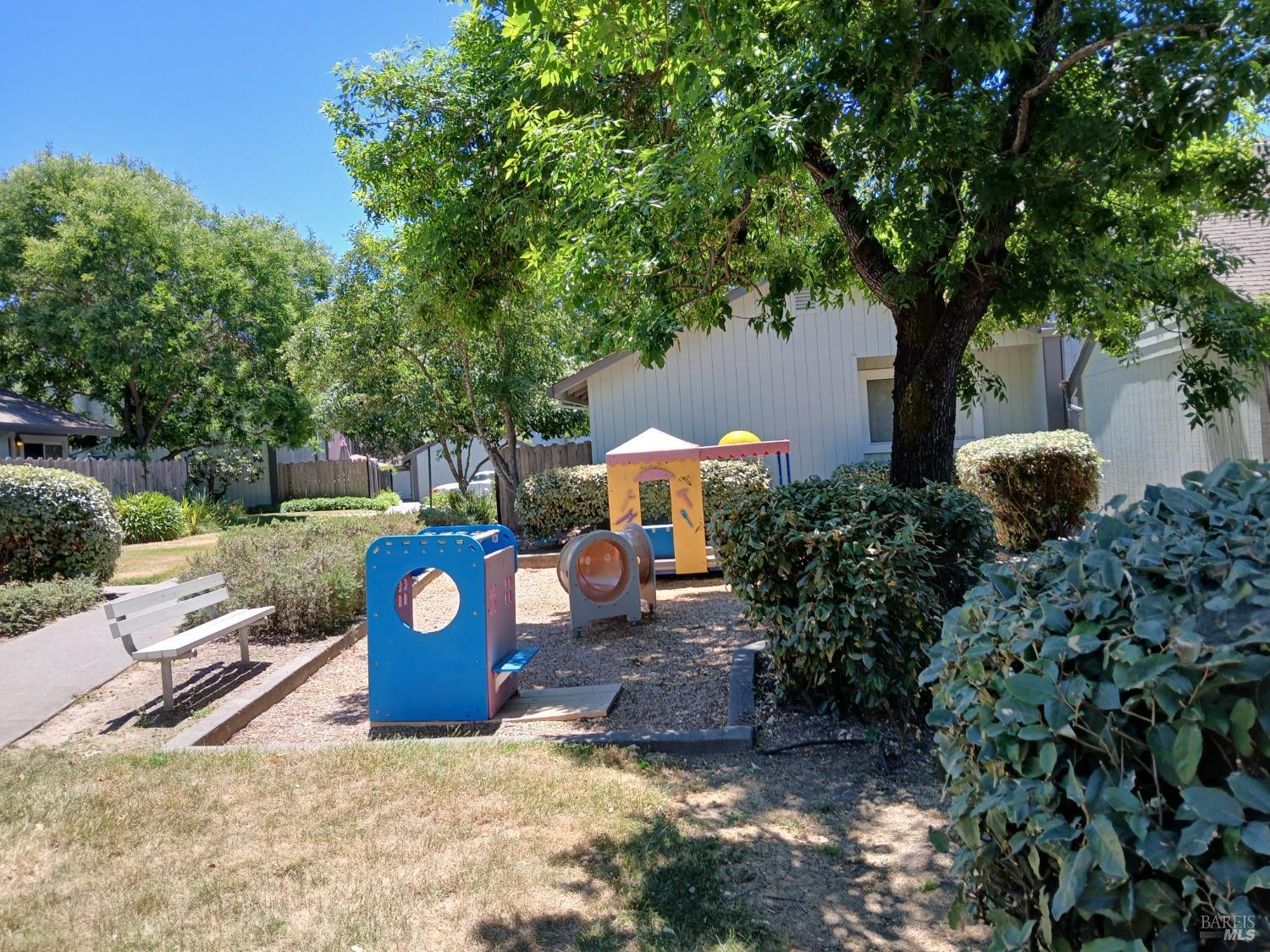 381 Wall Place Santa Rosa, CA 95401 - Photo 5 of 18 a view of a trees with barn in the background
