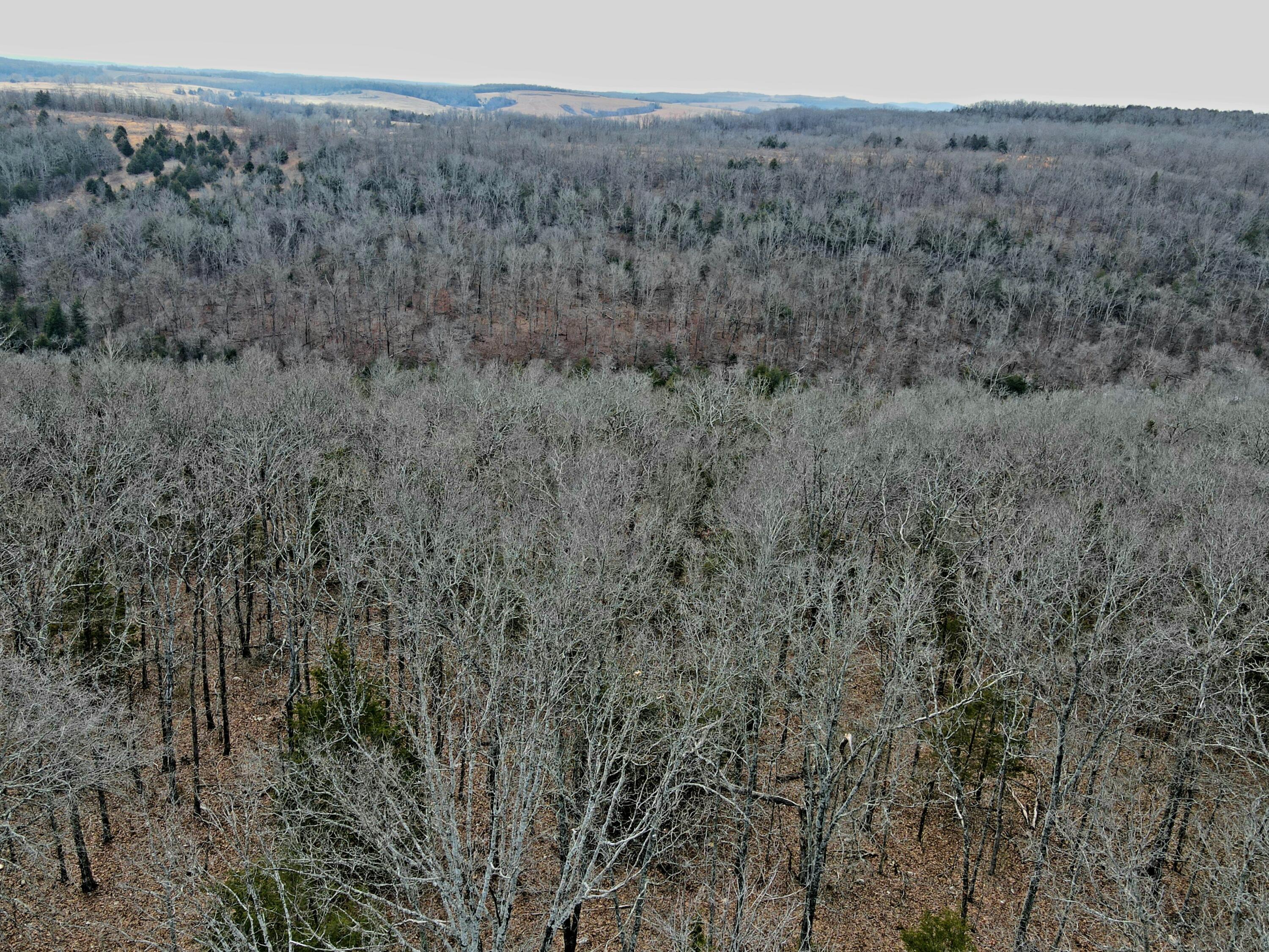 0 Hickory Flats Road Ava, MO 65608 - Photo 41 of 46 dji_fly_20250123_113206_235_173767869185