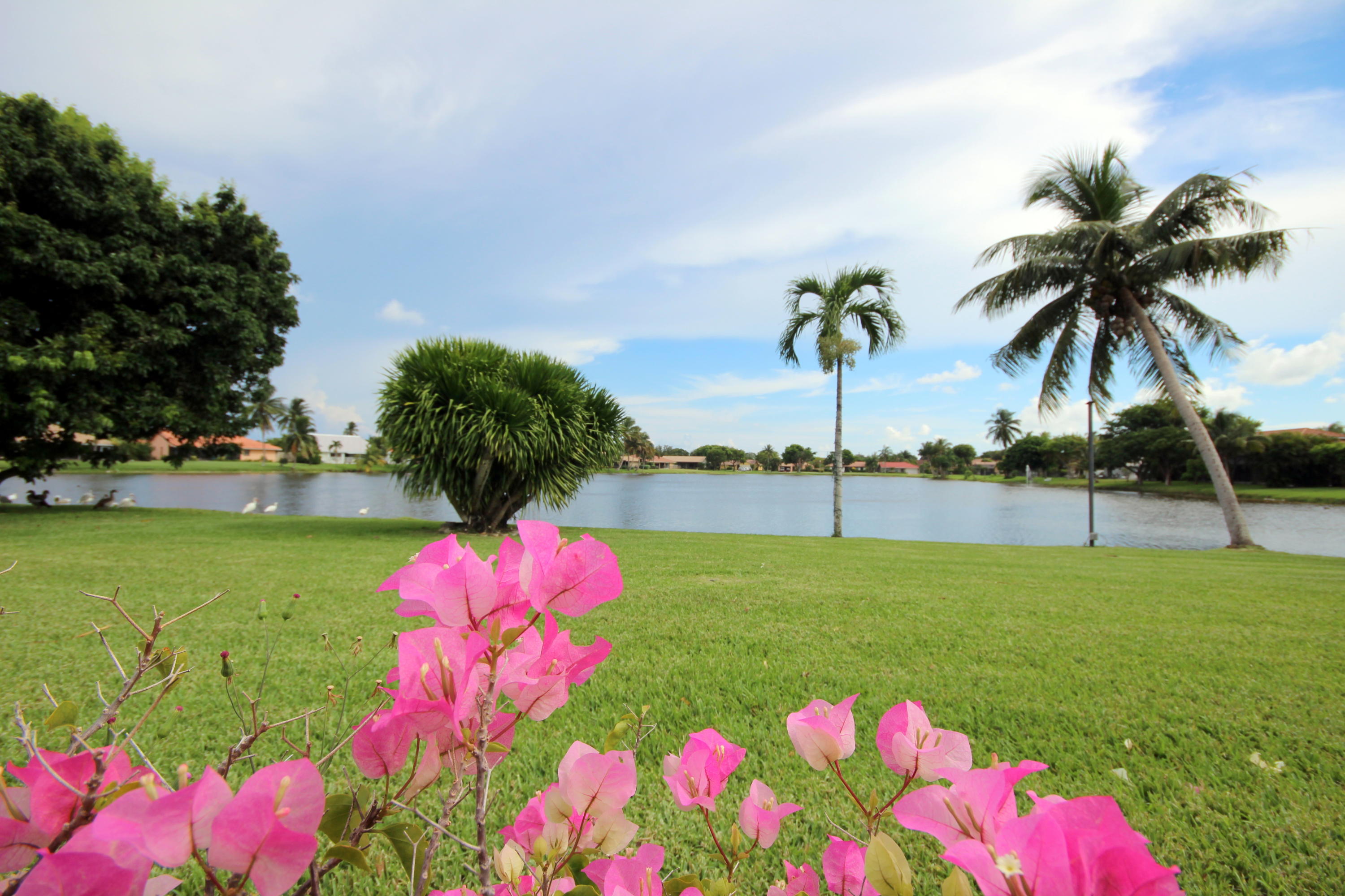 460 Northwest 72nd Street Boca Raton, FL 33487 - Photo 3 of 29 5201 NW 2ND AVE 414 044