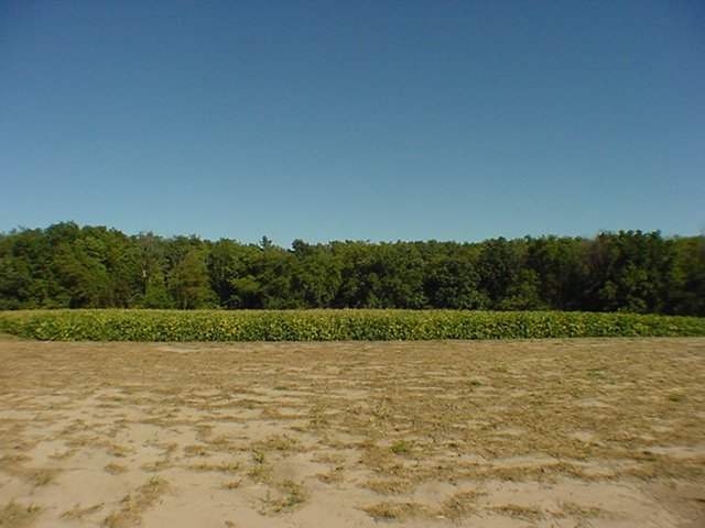 Rr Maher Road Brimfield, IL 61559 - Photo 3 of 3 Gallery Image 3