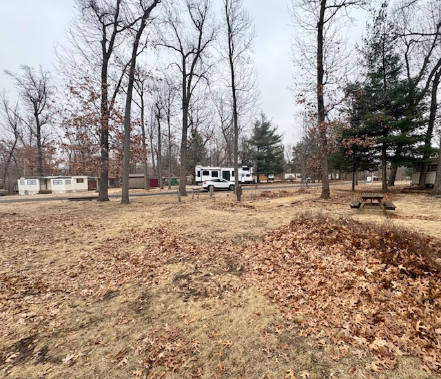 8-50&51 Woodhaven Sublette, IL 61367 - Photo 5 of 7