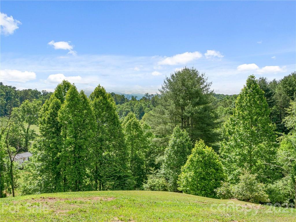 351 Cody Road Marshall, NC 28753 - Photo 2 of 29 Gallery Image 2