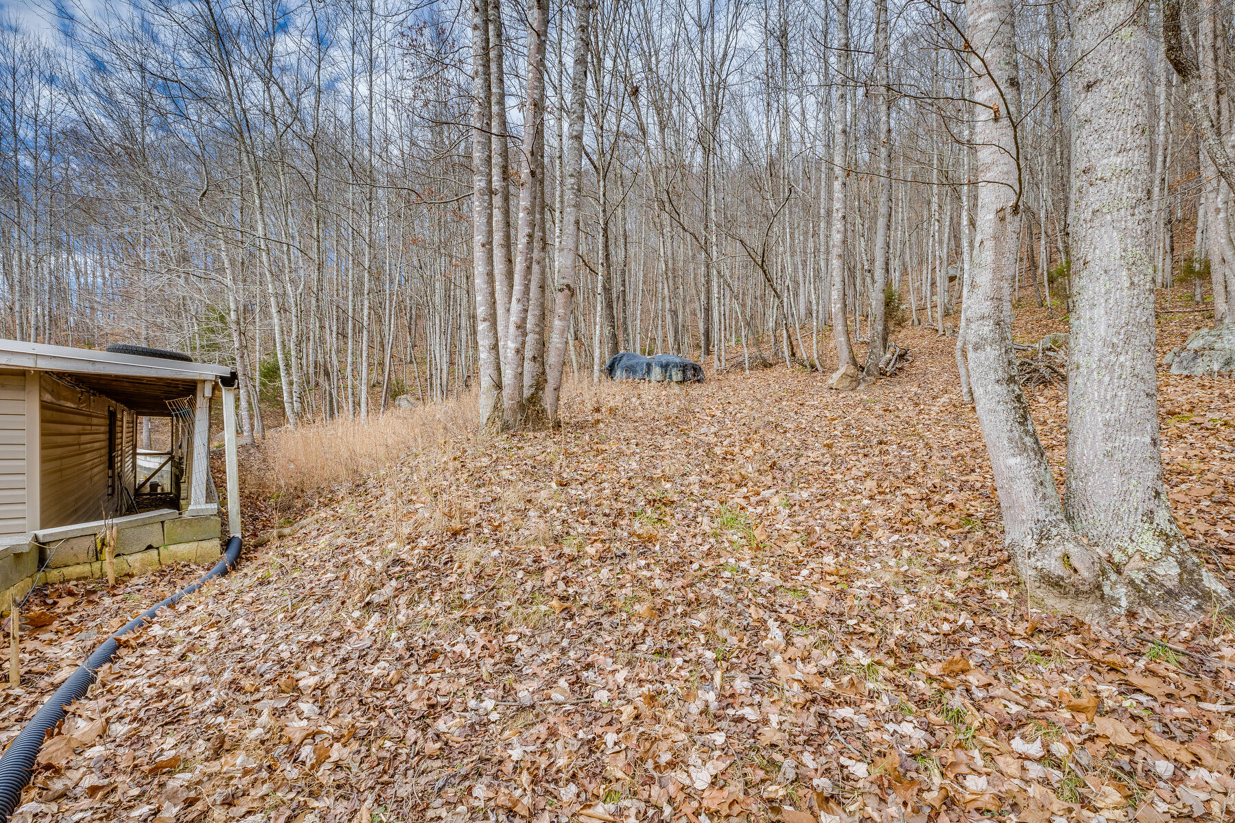 8984 Yuma Road Gate City, VA 24251 - Photo 50 of 86 050