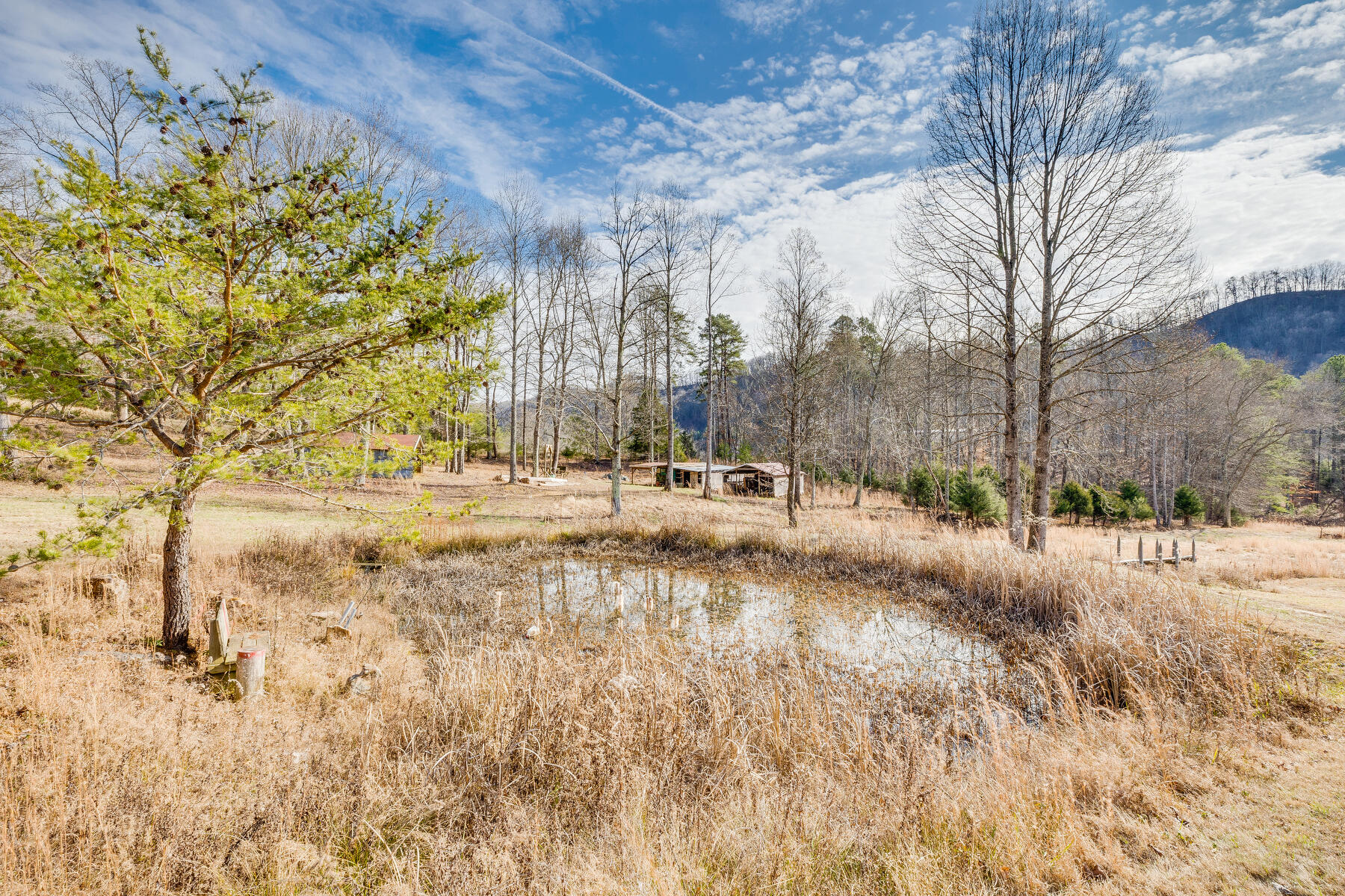 8984 Yuma Road Gate City, VA 24251 - Photo 65 of 86 065