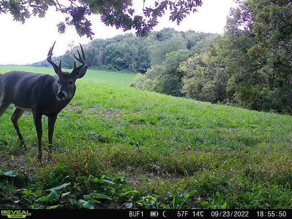 $340,000 | 0 Theurer Lane, Arcadia, WI 54612