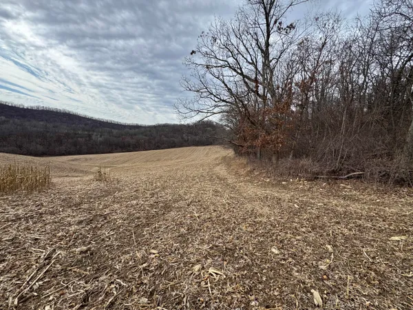 $340,000 | 0 Theurer Lane, Arcadia, WI 54612