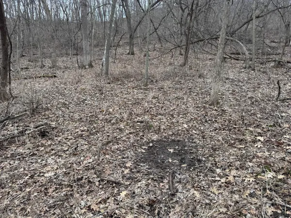 $340,000 | 0 Theurer Lane, Arcadia, WI 54612