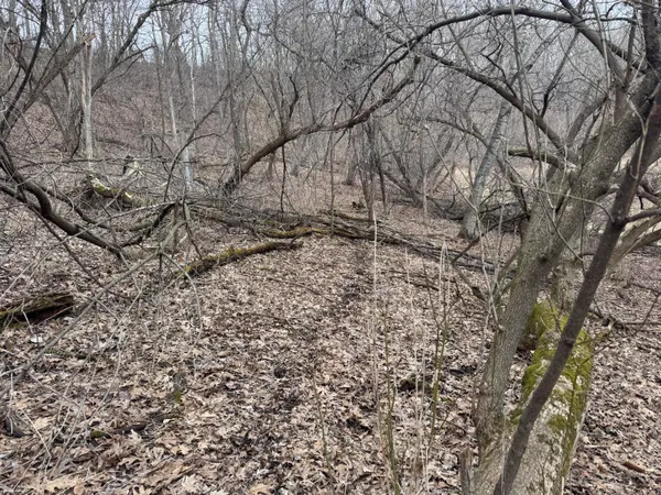 $340,000 | 0 Theurer Lane, Arcadia, WI 54612