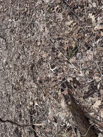 $340,000 | 0 Theurer Lane, Arcadia, WI 54612