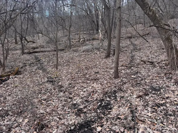 $340,000 | 0 Theurer Lane, Arcadia, WI 54612