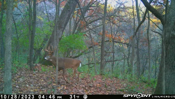 $340,000 | 0 Theurer Lane, Arcadia, WI 54612