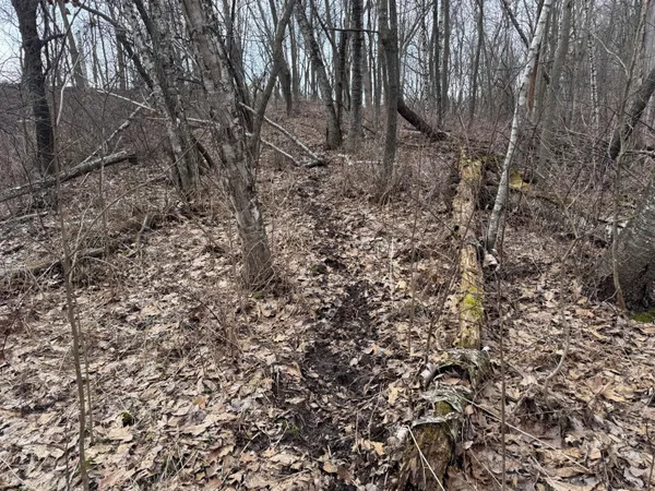 $340,000 | 0 Theurer Lane, Arcadia, WI 54612