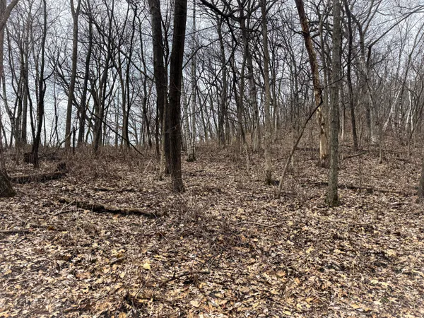 $340,000 | 0 Theurer Lane, Arcadia, WI 54612