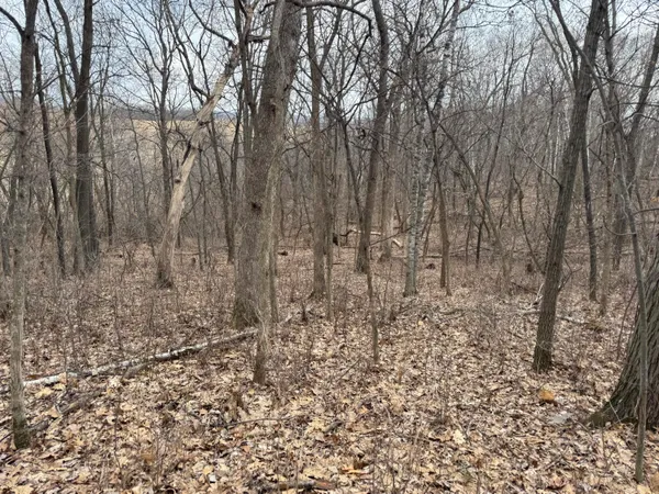 $340,000 | 0 Theurer Lane, Arcadia, WI 54612