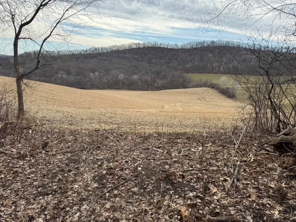 $340,000 | 0 Theurer Lane, Arcadia, WI 54612