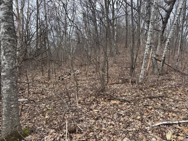 $340,000 | 0 Theurer Lane, Arcadia, WI 54612