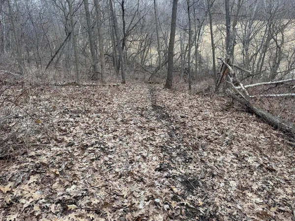 $340,000 | 0 Theurer Lane, Arcadia, WI 54612