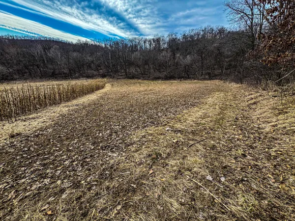 $340,000 | 0 Theurer Lane, Arcadia, WI 54612