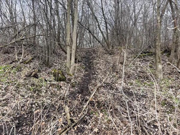 $340,000 | 0 Theurer Lane, Arcadia, WI 54612