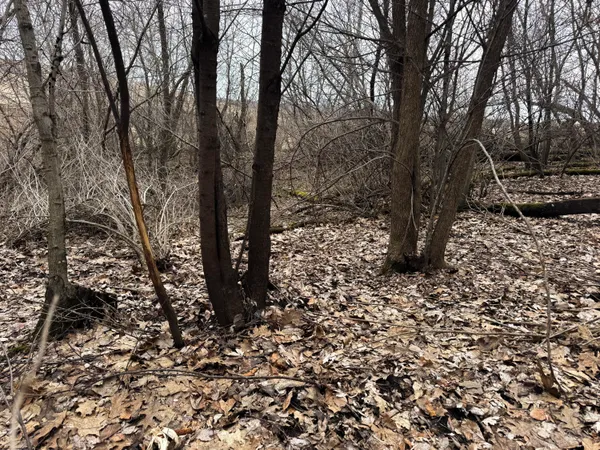 $340,000 | 0 Theurer Lane, Arcadia, WI 54612