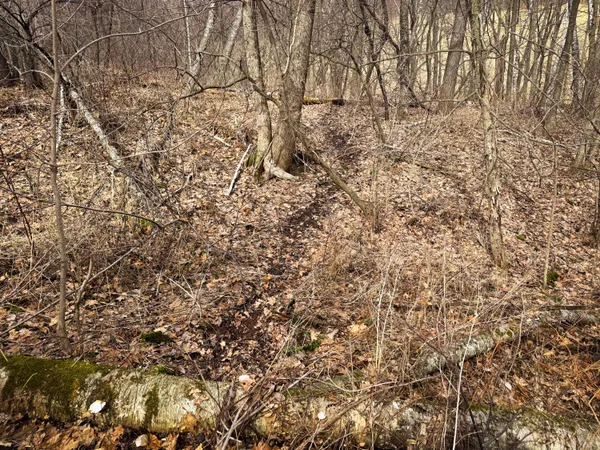 $340,000 | 0 Theurer Lane, Arcadia, WI 54612