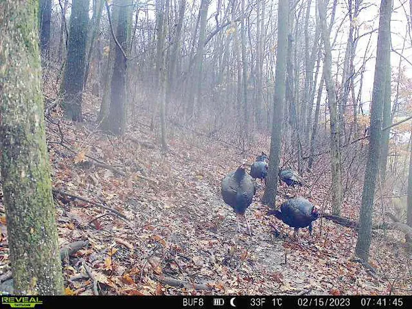 $340,000 | 0 Theurer Lane, Arcadia, WI 54612