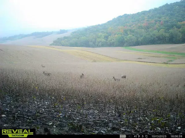 $340,000 | 0 Theurer Lane, Arcadia, WI 54612