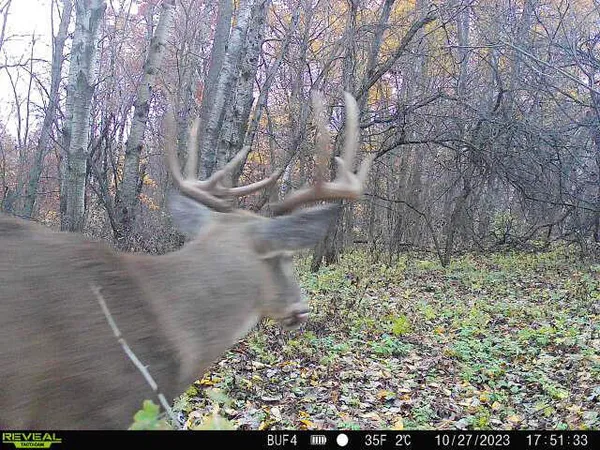 $340,000 | 0 Theurer Lane, Arcadia, WI 54612