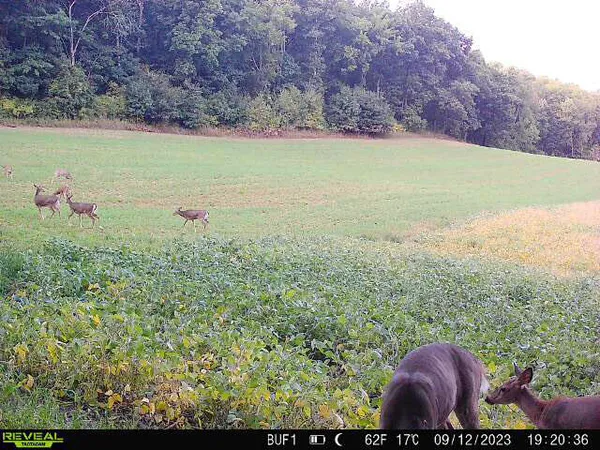 $340,000 | 0 Theurer Lane, Arcadia, WI 54612