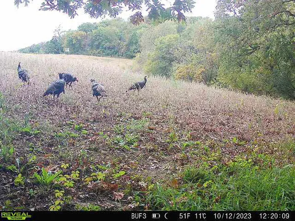 $340,000 | 0 Theurer Lane, Arcadia, WI 54612