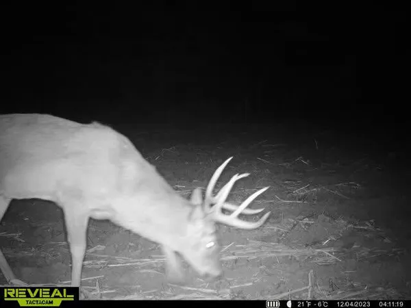 $340,000 | 0 Theurer Lane, Arcadia, WI 54612