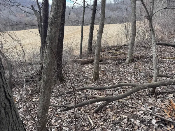 $340,000 | 0 Theurer Lane, Arcadia, WI 54612