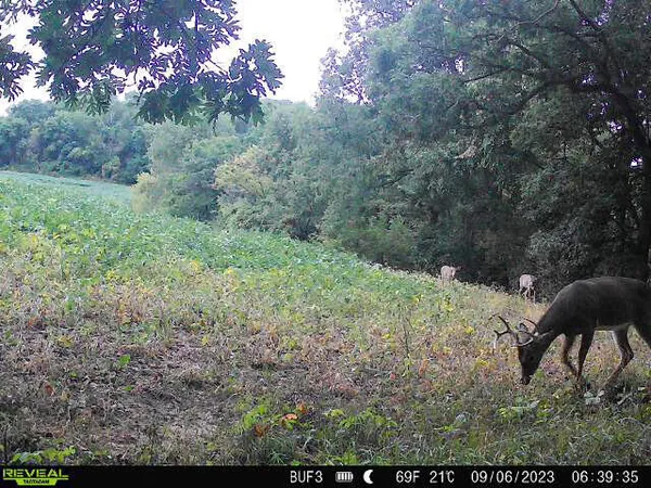 $340,000 | 0 Theurer Lane, Arcadia, WI 54612