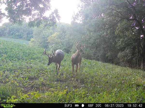 $340,000 | 0 Theurer Lane, Arcadia, WI 54612