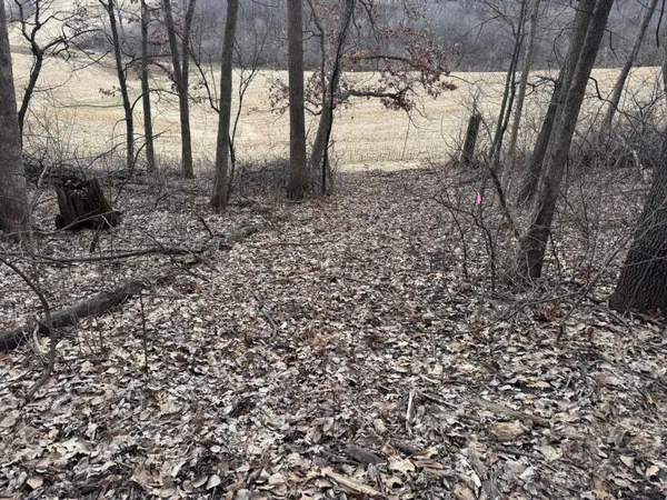 $340,000 | 0 Theurer Lane, Arcadia, WI 54612