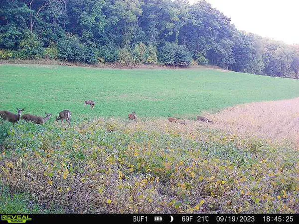 $340,000 | 0 Theurer Lane, Arcadia, WI 54612