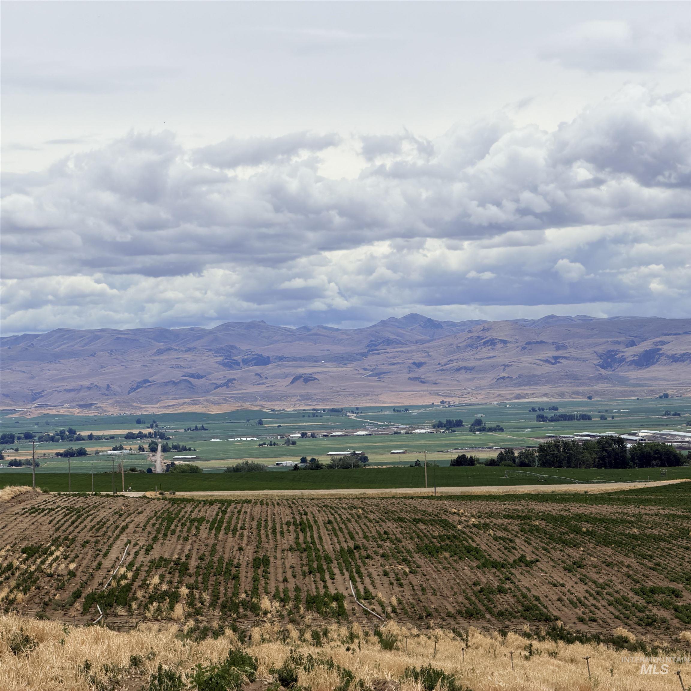 Tbd Homedale Road Wilder, ID 83676 - Photo 11 of 21