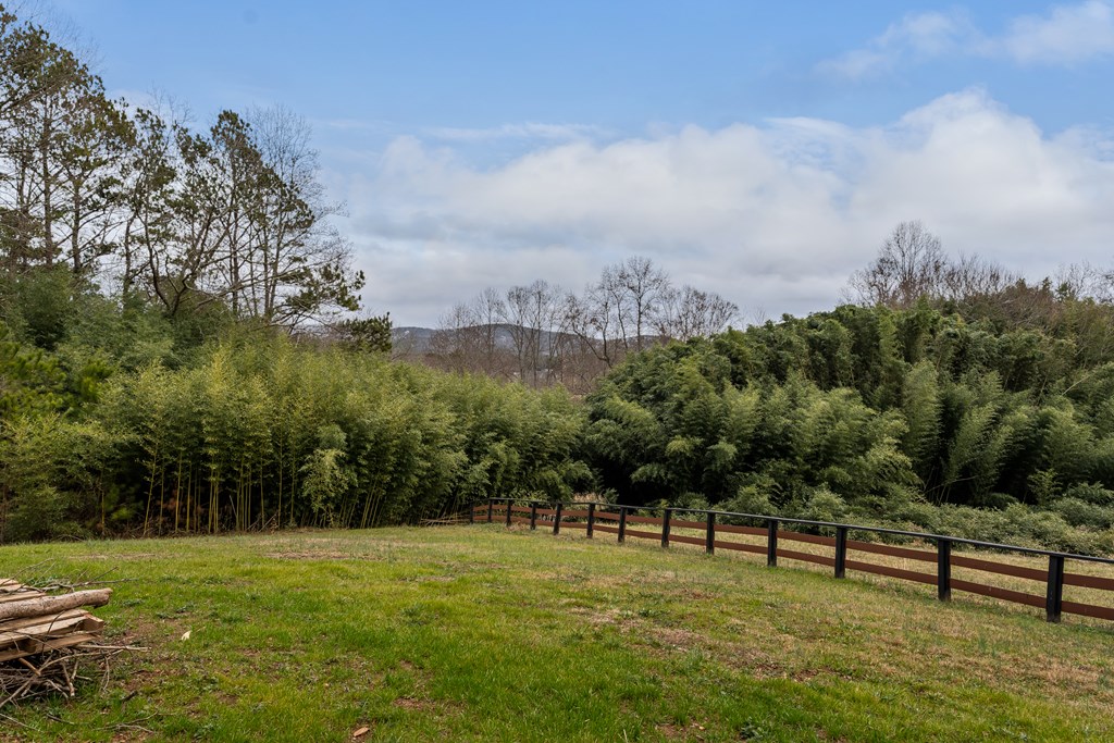 9351 Henderson Mountain Road Fairmount, GA 30139 - Photo 48 of 50 Gallery Image 48