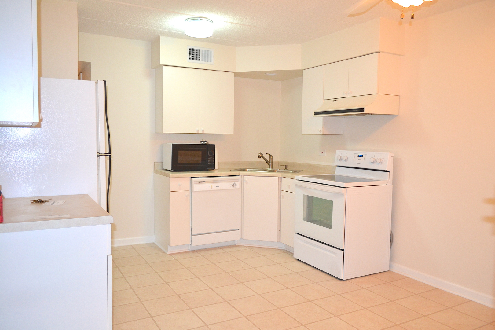 525 Timber Ridge Drive, Unit 307 Carol Stream, IL 60188 - Photo 5 of 18
