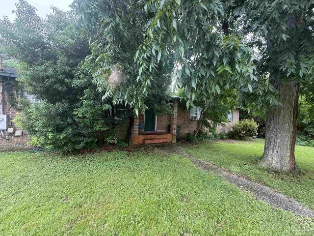 a view of a backyard with large trees