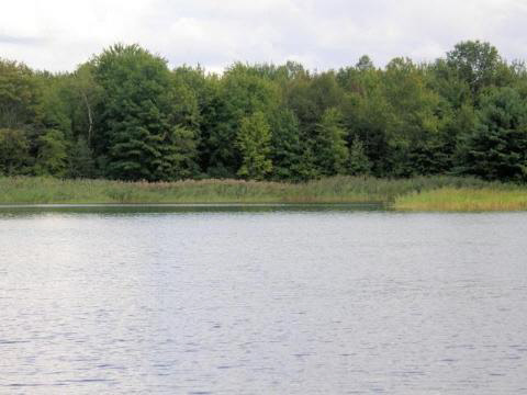 13575 Bueche Road Montrose, MI 48457 - Photo 8 of 16 20274370-7.JPG