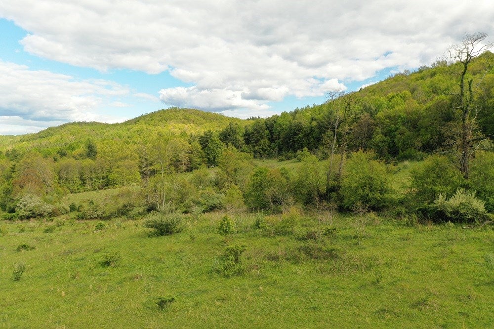 Tbd Burnett Road Southwest, Unit 8013B Meadows Of Dan, VA 24120 - Photo 5 of 11 Gallery Image 5
